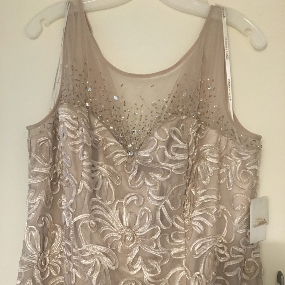NWT Long formal Dress from David’s Bridal
